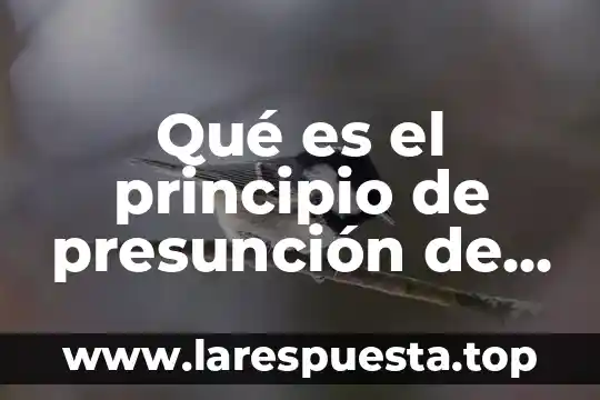 Qué es el principio de presunción de inocencia en México