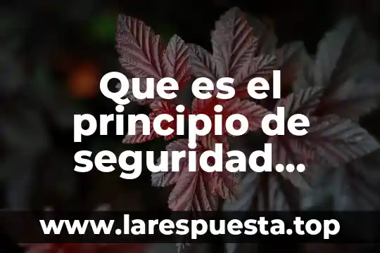 Que es el principio de seguridad social en migraciones