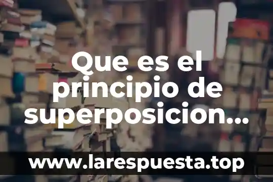 Que es el principio de superposicion para el campo electrico
