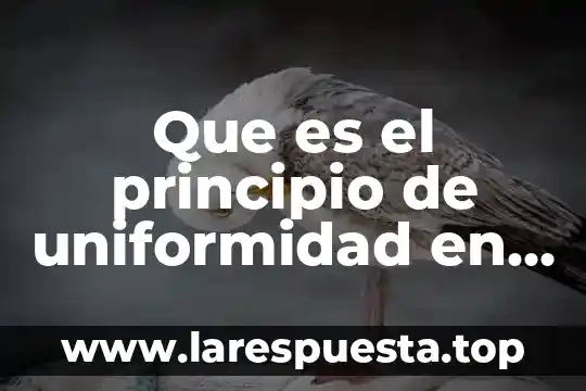 Que es el principio de uniformidad en derecho