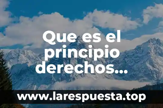 Que es el principio derechos humanos