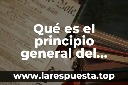 Qué es el principio general del derecho