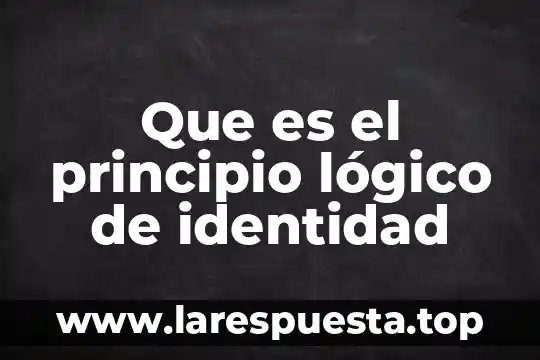 Que es el principio lógico de identidad