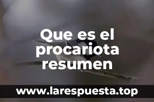 Investigar que es procariota 4 Que es el procariota resumen