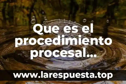 Qué es el derecho internacional y campo laboral 3 Que es el procedimiento procesal laboral