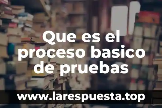Que es el proceso basico de pruebas