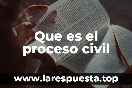 Qué es la supervisión y control 7 Que es el proceso civil