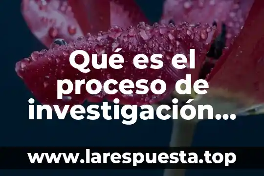 Que es una linea de investigacion en psicologia 7 Qué es el proceso de investigación análisis
