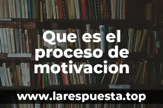 Que es el proceso de concentracion 7 Que es el proceso de motivacion
