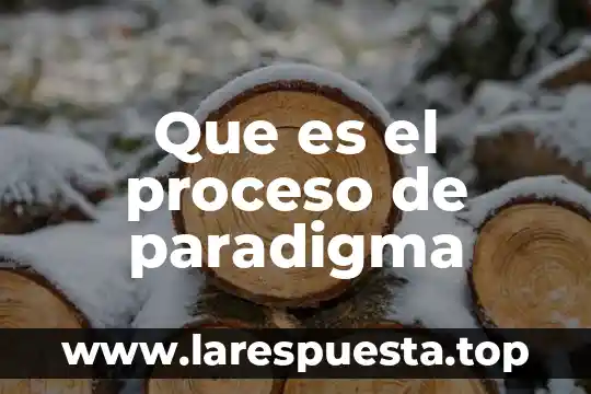Que es el proceso de paradigma
