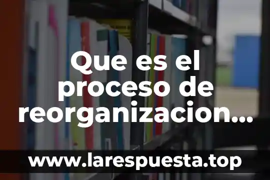 Qué es el proceso grupal en trabajo social 5 Que es el proceso de reorganizacion empresarial