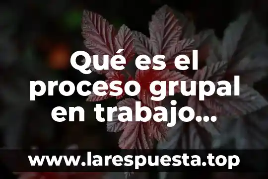 Que es el proceso de reorganizacion empresarial 5 Qué es el proceso grupal en trabajo social