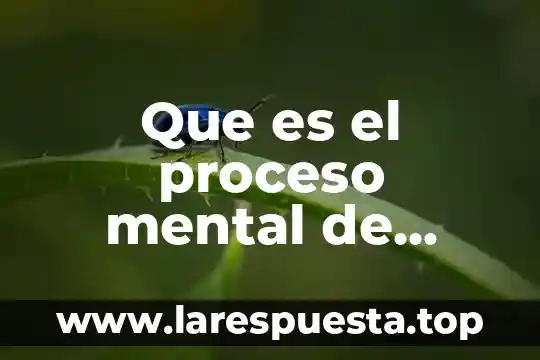 Qué es el proceso grupal en trabajo social 8 Que es el proceso mental de relacionar
