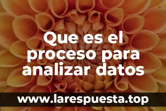 Que es el proceso para analizar datos