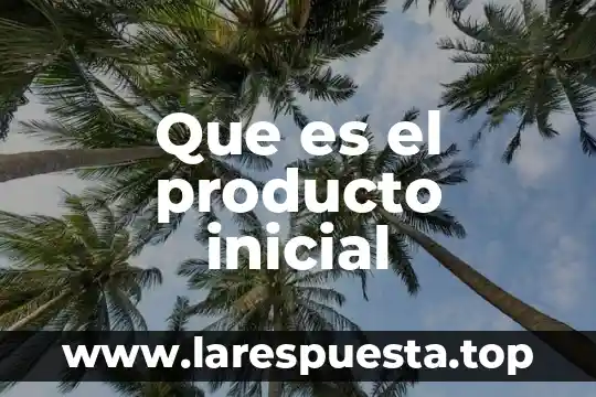 Que es el costo inicial o base no ajustada 3 Que es el producto inicial