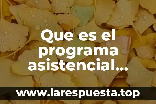 Que es el programa asistencial bienestar
