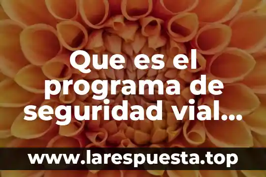 Que es el programa de seguridad vial en educacion