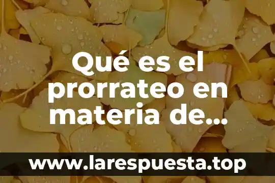 Que es cc en comercio exterior 3 Qué es el prorrateo en materia de comercio exterior