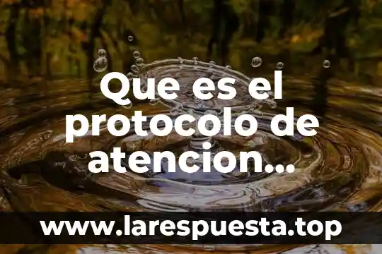 Que es personal competente 5 Que es el protocolo de atencion personal