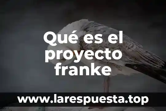 Qué es el proyecto franke
