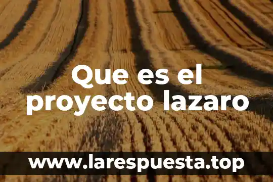 Que es un proyecto didactico de vinculacion 8 Que es el proyecto lazaro