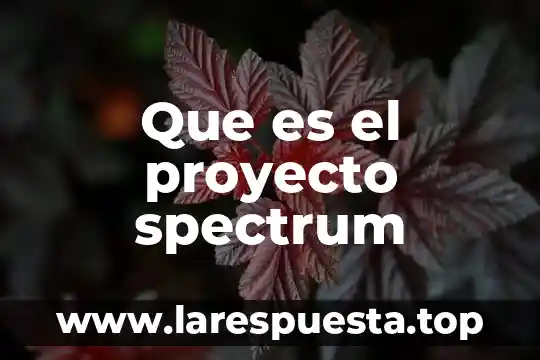 Que es el proyecto spectrum