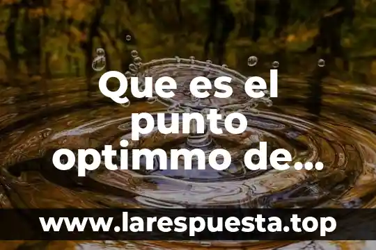 Que es punto palanca 8 Que es el punto optimmo de las enzimas