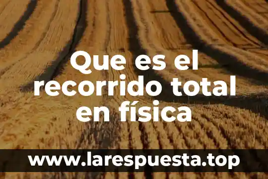 Que es la capacidad fisica coordinativa 3 Que es el recorrido total en física