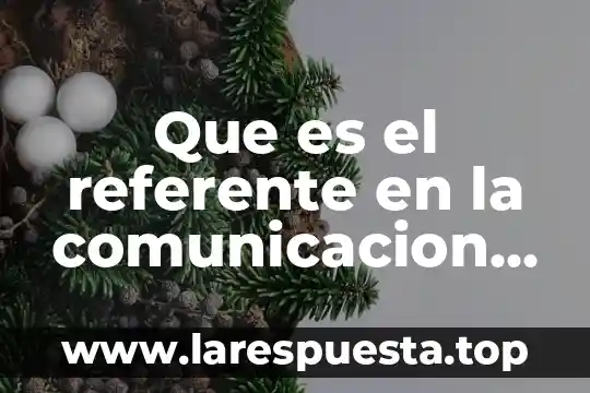 Yasmin oral que es 7 Que es el referente en la comunicacion oral