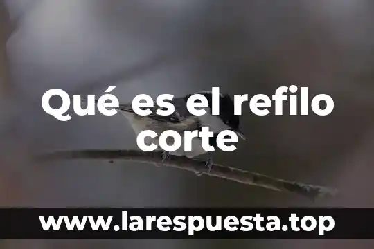 Qué es el refilo corte