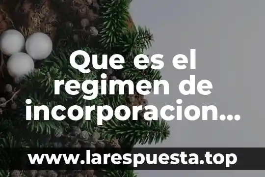 Que es el regimen de incorporacion fiscal 2018 8 Que es el regimen de incorporacion fiscal ejemplo