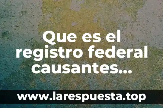 Que es el registro federal causantes pemex pajaritos