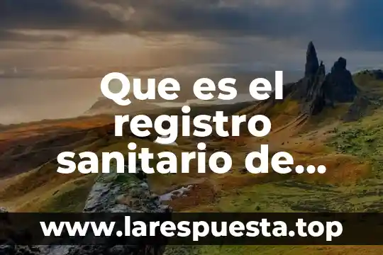 Que es un sistema sanitario de salud 8 Que es el registro sanitario de medicamentos