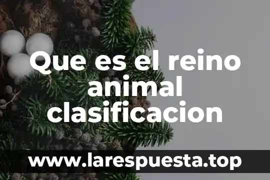 Que es el reino animal clasificacion
