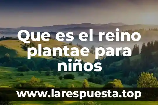 Que es el reino protista ejemplos 5 Que es el reino plantae para niños