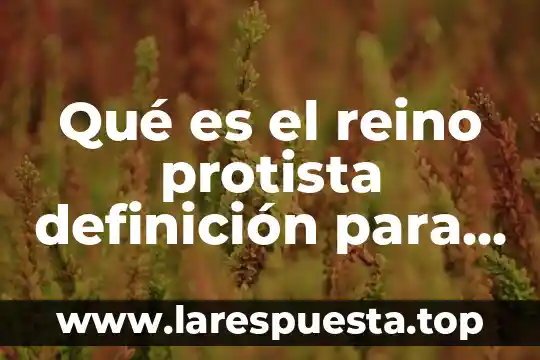 Que es el reino protista ejemplos 7 Qué es el reino protista definición para niños
