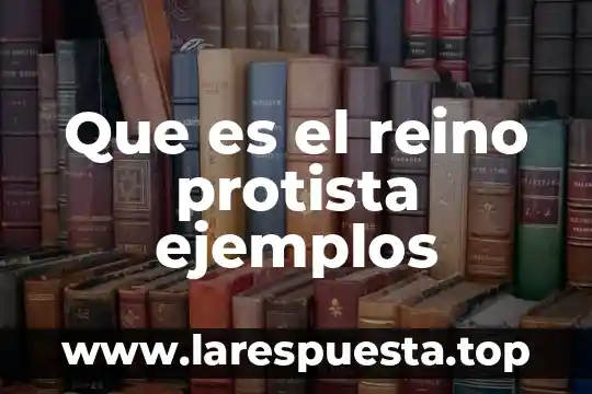Que es el reino plantae para niños 7 Que es el reino protista ejemplos
