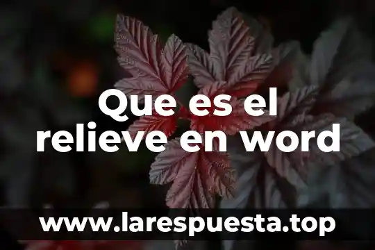 Que es el relieve en word