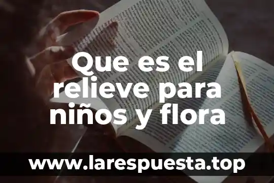 Que es una cuidad suburbana para niños 6 Que es el relieve para niños y flora