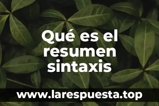 Qué es el resumen sintaxis