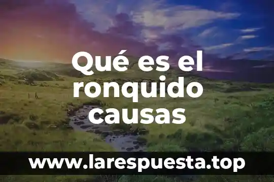 Que es hipoxia y causas 4 Qué es el ronquido causas