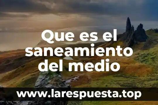 Que es el saneamiento del medio
