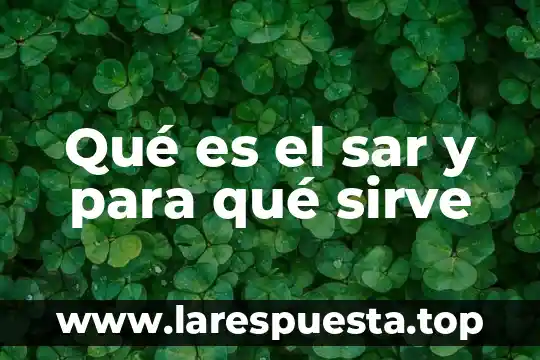 Que es una encuesta y para sirve 3 Qué es el sar y para qué sirve