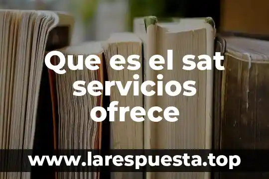 Que es lo mejor que me ofrece la ingenieria civil 4 Que es el sat servicios ofrece