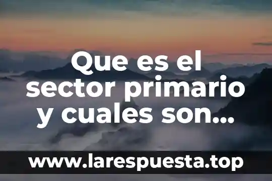 Que es el sector primario y cuales son sus actividades
