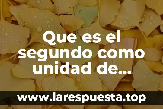 Que es teorias de la medida psicológia 6 Que es el segundo como unidad de medida