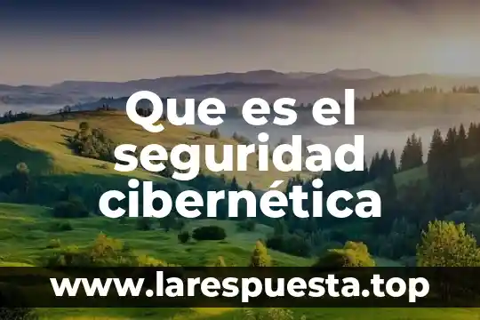 Que es el seguridad cibernética