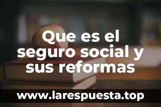 Que es una gráfica en español 3 Que es el seguro social y sus reformas