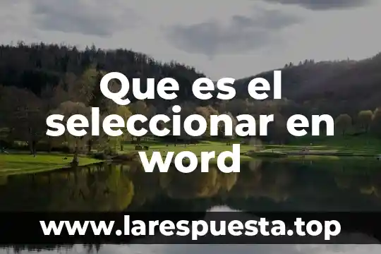 Que es seleccionar columnas en excel 6 Que es el seleccionar en word
