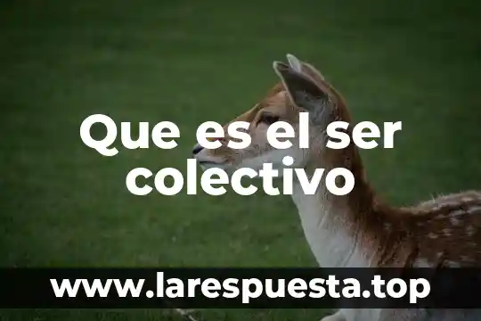 Que es el ser colectivo